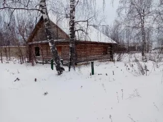 Индивидуальный жилой дом 103.3 кв.м, участок 1500 кв.м, Тюменская область. Объект незавершенного строительства по адресу: Тюменская область, Аромашевский район, с. Аромашево, пер. Зеленый, д. 4А (кадастровый номер 72:03:0101001:3238), с земельным участком площадью 1500 кв. м (кадастровый номер…