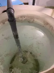 Строительство фермы по выращиванию форели по адресу д. Мещеряково Промпарк «Буинск» Буинского муниципального района, кадастровый номер 16:14:140102:762, общая площадь 1 432,0 кв.м. (в залоге АО «Татагролизинг»); Административное здание, кадастровый номер 16:14:140102:763, общая площадь 57,4 кв.м…