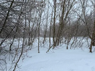 Земельный участок площадью 1046 кв.м, категория «земли населенных пунктов», вид разрешенного использования «Для индивидуального жилищного строительства» расположен по адресу: Московская область, городской округ Кашира, д. Тарасково. Основной вид разрешенного использования: 2.1. Площадь земельного…