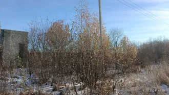 Комплекс недвижимости, 4 746,4 кв. м, Свердловская область. Здание склада технических материалов (216,5 кв. м, кад. № 66:56:0116002:1915), здание шпалотарного цеха (972,8 кв. м, кад. № 66:56:0116002:1925), здание РММ (346,5 кв. м, кад. № 66:56:0116002:1911), здание котельной (79,2 кв. м, кад. №…