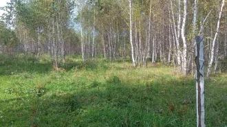 Земельный участок, кадастровый номер: 74:02:1212002:2864, вид права, доля в праве: Собственность, площадь: 1806 +/- 15 кв.м., дата государственной регистрации: 04.06.2021 г., 
Местоположение: Челябинская область, Аргаяшский район, д Саитова примерно 60 метров по направлению на восток от д. 6 по…