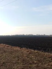 Земельный участок 5000 кв.м, Воронежская область, Таловский район. Кадастровый номер: 36:29:9200007:253. Адрес (местоположение): Воронежская область, р-н Таловский, Казанское сельское поселение, в южной части кадастрового квартала 36:29:9200007. Площадь, кв.м: 5000. Вид права, доля в праве…