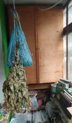 1/6 и 1/6 доли квартиры, 48,7 кв.м, Оренбург, ул. Туркестанская 1/6 доля квартиры в Оренбурге еще 1/6 доля квартиры в Оренбурге еще 1/6 доли в праве на жилое помещение, общей площадью 48,7 кв.м., с кадастровым номером 56:44:0223001:1317, находящаяся по адресу: г. Оренбург, ул Туркестанская, д…
