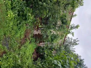 Нежилое здание детского сада площадью 311.9 кв.м, 1977 года ввода в эксплуатацию, расположенное по адресу: Пензенская область, Кузнецкий район, село Анненково, улица Рабочая, 26. Кадастровый номер здания: 58:14:0190201:676. Здание одноэтажное. Расположено на земельном участке площадью 2535 кв.м с…