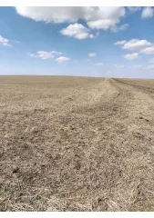 Земельный участок 1500031 кв.м, 4/36 доли, Кизильский р-н, Гранитное, Челябинская область 4/36 доли на земельном участке, площадь 1500031 +/- 10717 кв.м., назначение: Земли сельскохозяйственного назначения, адрес (местонахождение): Челябинская область, р-н.Кизильский, Гранитное, кадастровый…