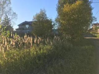 Земельный участок 650 м² с кадастровым номером 50:08:0070273:671 Вид разрешённого использования земельного участка: 2.2