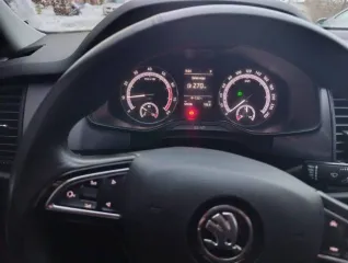 Skoda Kodiaq 2020 года выпуска, белый. VIN и номер кузова: XW8JC6NSXLH419928. Пробег 50006 км. СТС 9923541420, ЭПТС 164301008688421.