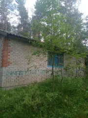 Нежилое здание кардон 57,2 кв.м и земельный участок 3953 кв.м, Новгородская область, м.о. Хвойнинский, д. Миголощи. Нежилое здание (кардон), площадь 57,2 кв. м, кадастровый номер 53:18:0000000:660, расположенное по адресу: Новгородская область, Хвойнинский муниципальный округ, деревня Миголощи…