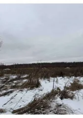 Земельный участок, 800 кв.м, Раменский городской округ, д. Булгаково. Земельный участок в Московской обл., 800 кв.м. Земельный участок, общей площадью 800 кв.м., кадастровый (условный) номер: 50:23:0050553:1090, расположенный по адресу: Раменский городской округ, д. Булгаково.