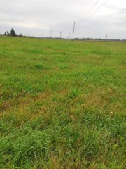 Земельный участок площадью 131000 кв.м. Адрес: 627033, Тюменская область, Ялуторовский район, село Киёво. Кадастровый номер: 72:21:0000000:28. Вид собственности: индивидуальная.