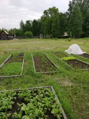 Земельный участок 1060 кв.м, Забайкальский край, для садоводства, кадастровый (условный) номер 75:22:650709:26, виды разрешенного использования объекта недвижимости: для садоводства, площадью 1060 к.в., место нахождения: местоположение установлено относительно ориентира, расположенного в границах…