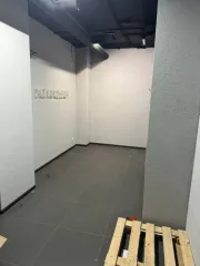 Нежилое помещение площадью 133.5 кв.м на первом этаже по адресу: Брянск, ул. Степная, д.13, помещение 16. Кадастровый номер: 32:28:0030901:1467.