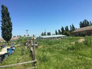 Право аренды земельного участка площадью 70 000 кв.м., категория земель: земли населенных пунктов, вид разрешенного использования: овощеводство, кадастровый номер 23:15:0602000:323, расположенный по адресу: Краснодарский край, Крымский район, в границах ТОО «Горизонт», секция 9, часть контура 8…