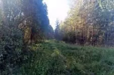 Сооружение (газовая котельная № 5) общей площадью 12,8 м2, кад. №: 69:39:0140206:139, адрес: Тверская обл., г. Вышний Волочек, ул. Северная, д. 9. Обременение – договор аренды на неопределенный срок. Права на земельный участок под котельной не оформлены.
Нежилое здание (котельная № 3) общей…