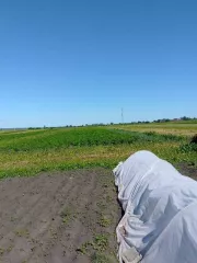 1/5 доли в праве общей долевой собственности на жилой дом площадью 70.1 кв.м по адресу: Россия, Чувашская Республика, Красночетайский р-н, с/пос. Питеркинское, д. Питеркино, ул. Центральная, дом 101, кадастровый номер 21:15:190208:167. 1/5 доли в праве общей долевой собственности на земельный…