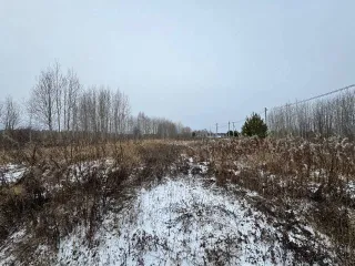 Земельный участок площадью 1306 кв.м в Тюменской области, Нижнетавдинский район, СНТ "Райские сады", улица Южная, участок №31. Кадастровый номер: 72:12:0804001:1780. Имущество находится в залоге у ПАО Сбербанк.