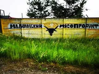 Земельный участок, общей площадью 4 899 кв.м. кадастровый номер № 39:02:240002:33, Находящийся по адресу: Калининградская область, Гвардейский р-н,п. Малиновка, 
Здание Цеха по производству колбасных изделий, общей площадью 1 121.9 кв.м, кадастровый номер № 39:02:240006:32, Расположенное по адресу…