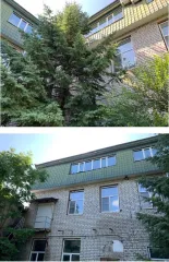Нежилое здание 2953,9 кв.м, земельный участок 1674 кв.м, г. Биробиджан, Еврейская АО. Имущественный комплекс в г. Биробиджан - нежилое здание, площадью 2953,9 кв.м., кадастровый 79:01:03:00008:85, количество этажей: 3, адрес: Еврейская автономная обл., г. Биробиджан, ул. Миллера, д. 8. Ограничения…