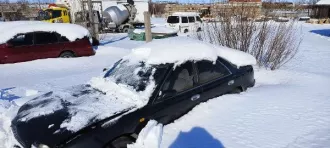 Автомобиль марки Nissan Bluebird , г/нH749TE27 ,1994  г.в., № двигателя 636712A , № кузова  EU13378441, цвет черный Автомобиль марки Nissan Bluebird , г/нH749TE27 ,1994  г.в., № двигателя 636712A , № кузова  EU13378441, цвет черный 1 Штука (шт) 
Модель: Ниссан 
Назначение: pryamie 
Вид транспорта…