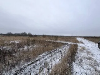 Земельный участок 600 кв.м в Московской области, городской округ Раменский, деревня Аргуново. Кадастровый номер: 50:23:0050573:1513. Площадь: 600 +/- 17 кв.м. Категория земель: сельскохозяйственного назначения. Вид разрешенного использования: для ведения садоводства.