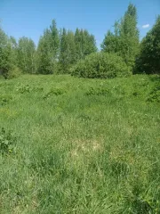 Земельный участок 428 кв.м, Московская область, КН 50:33:0010463:586, площадь 428, кадастровый номер 50:33:0010463:586, основной вид разрешенного использования 2.2