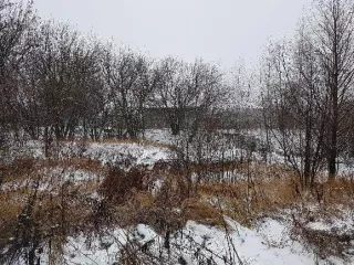 Земельный участок, кадастровый номер 50:16:0602003:642, площадь 10 200 кв. м., категория земель: земли населенных пунктов, вид разрешенного использования: размещение железнодорожного пути, расположенный по адресу: Московская область, Ногинский район, городское поселение Старая Купавна, г. Старая…