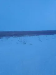 Земельный участок, 333 334 кв.м, Курганская область. Земельный участок в Курганской обл., 166667 кв.м. еще Земельный участок в Курганской обл., 166667 кв.м. Земельный участок, площадь: 166 667 кв.м., адрес (местонахождение): Курганская обл, р-н Макушинский, в границах бывшего колхоза "Bolshevik"…