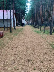 Земельный участок 18203 кв.м, дом 150 кв.м, гараж 68,9 кв.м, Моршанский район, село Мутасьево земельный участок площадью 18203 кв.м. с кадастровым номером 68:09:3902013:90 (РНФИ П11680005143) с расположенными на нем объектами недвижимого имущества: гараж площадью 68,9 кв.м. с кадастровым номером…