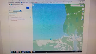 Земельный участок с кадастровым номером 35:03:0401009:386, площадью 990 кв.м, категория земель: земли сельскохозяйственного назначения, вид разрешенного использования: для садоводства и огородничества, адрес (местоположение): Вологодская область, Белозерский район, с/тов. «Озерное»