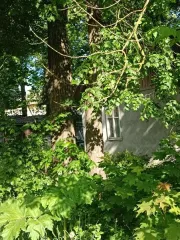 Земельный участок 1351 кв.м и административное здание 200.5 кв.м, Новгородская область, Солецкий район, земельный участок площадью 1 351 кв. м с кадастровым номером 53:16:0010318:35, РНФИ П11540000268, и административное здание площадью 200,5 кв. м с кадастровым номером 53:16:0010318:49, РНФИ…