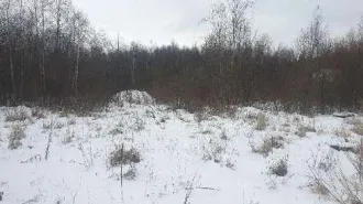 1/2 доли в земельном участке площадью 378 кв.м., кадастровый номер: 60:23:0070302:35. Назначение объекта недвижимости: данные отсутствуют. Виды разрешенного использования объекта недвижимости: для ведения индивидуального садоводства. Местоположение: Псковская область, р-н Струго-Красненский, СП…