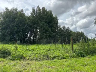 Земельный участок 1644 м², кадастровый номер 50:35:0050301:240, площадь 1644, основной вид разрешенного использования 2.1.