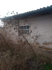 жилой дом, общей площадью 34, кв.м.,  расположенный по адресу: Астраханская область  Икрянинский район, с.Ниновка,ул.В.Баранова,д.61,  с земельным участком, площадью 400,00 кв.м жилой дом, общей площадью 34, кв.м.,  расположенный по адресу: Астраханская область  Икрянинский район…
