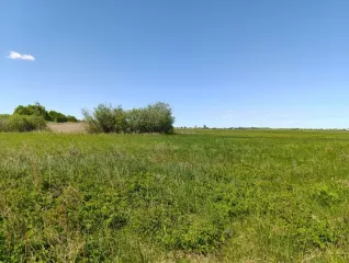Земельный участок 94 000 кв. м, Калининградская обл., Гурьевский р-н, расположен юго-западнее пос. Голубево, с северо-запада от железной дороги, кадастровый номер 39:03:080821:147, земли промышленности, энергетики, транспорта, связи, радиовещания, телевидения, информатики, земли для обеспечения…