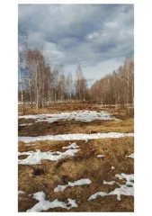 Земельный участок 300 кв.м., Нижегородская обл., г. Бор, с Останкино (Останкинский с/с), ул. Школьная, 130, площадью 300 кв.м., кадастровый номер 52:20:1600015:147, разрешенное использование: для ведения личного подсобного хозяйства