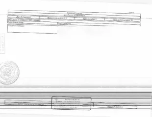 Земельный участок площадью 903 кв.м, кадастровый номер 72:17:2316007:44, Тюменская область, Тюменский район, СНТ "Горошинка-3", улица Яблочная, участок № 42. Вид разрешённого использования: 13.2 (земли сельскохозяйственного назначения для садоводства и огородничества).