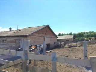 Здание свинарника, кадастровый номер 56:31:1003001:308 площадью 1 613,7 кв. м, литер Е, одноэтажный; 
Земельный участок площадью 2 462 кв. м, кадастровый номер 56:31:1003001:502. 
Местонахождение: Оренбургская область, Ташлинский район, с. Раннее, ул. Западная, д. 2
