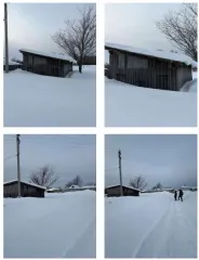 Гараж 20 кв. м, Удмуртская Республика Гараж площадью 20 кв. м, назначение – нежилое, кол-во этажей – 1 (в том числе подземных - 0), кадастровый номер 18:03:015017:511, местонахождение: Удмуртская Республика, с. Вавож, ул. Победы, стр. 3/3. Вид права – собственность. Обременение – аресты. Судебный…