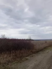 Земельный участок, Кадастровый номер: 73:14:011201:537, Площадь: 293141 +/  4737 кв.м., Назначение объекта недвижимости: данные отсутствуют, Виды разрешенного использования объекта недвижимости: Для сельскохозяйственного производства, Адрес: Ульяновская область, Сенгилеевский район, в 100 метрах по…