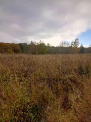 Земельный участок 3 га, Новгородская область. Земельный участок площадью 30000 ± 121 кв. м, кадастровый номер 53:18:0081801:21, категория земель - земли сельскохозяйственного назначения, вид разрешенного использования - для ведения личного подсобного хозяйства. Местонахождение: Новгородская обл…