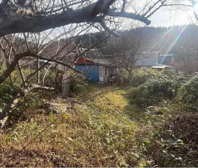 Земельный участок площадью 831 кв.м, кадастровый (условный) номер: 65:06:0000003:221, адрес (местонахождение): Российская Федерация, Сахалинская область, Невельский городской округ, с. Селезнево, вид собственности: индивидуальная.