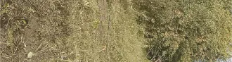 Земельный участок с кадастровым номером 72:01:0104001:594, площадью 493 +/  16 кв. м, расположенный по адресу: Тюменская область, Абатский район, территория СНТ «Строитель», ул. № 7, участок 18, с расположенным на нем кирпичным строением  дачный дом  площадью 16 кв. м. Земельный участок с…