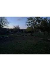 1/5 доли земельного участка, 1000 кв.м, Ростовская область, Усть-Донецкий р-н, 1/5 доля земельного участка в Ростовской обл., 1/5 доля земельного участка в Ростовской обл., 1/5 доля в праве на земельный участок, площадь: 1 000 кв.м., адрес (местонахождение): Ростовская область, р-н Усть-Донецкий…