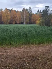 Земельный участок площадью 9913 кв.м, расположенный по адресу: Забайкальский край, Улетовский район, с. Аблатуйский Бор, ул. Придорожная, д.17а. Категория земель: земли населенных пунктов. Вид разрешённого использования: для ведения личного подсобного хозяйства (приусадебный земельный участок)…