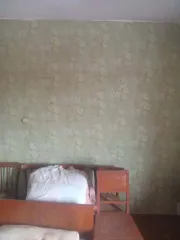 Жилое помещение, 51,7 кв.м, г. Луза, Кировская область, жилое помещение, площадь: 51,7кв.м., адрес (местонахождение): Российская Федерация, Кировская область, м.о. Лузский, г Луза, ул Лисавенко, д. 7, кв. 1, кадастровый номер: 43:16:310105:591