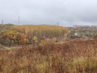 Земельный участок 665 кв.м Курская область, площадь 665 +/-9 кв.м., адрес: Курская обл., г. Курск, снт «Вишенка», участок 337, кадастровый номер: 46:29:102106:290, категория земель: Земли населенных пунктов, разрешенное использование: для садоводства и огородничества