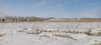 Земельный участок кадастровый номер 24:25:0401004:62 общей площадью 7200 м2 категории земель сельскохозяйственного назначения с разрешенным использованием для ведения личного подсобного хозяйства по адресу местоположение установлено относительно ориентира расположенного в границах участка ориентир…