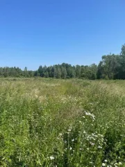 Земельный участок, площадь 622 кв.м, Ленинградская область с кадастровым номером 47:03:0905002:352, расположенный по адресу: Российская Федерация, Ленинградская область, Приозерский район, Красноозерное сельское поселение, вблизи дер. Красноозерное.