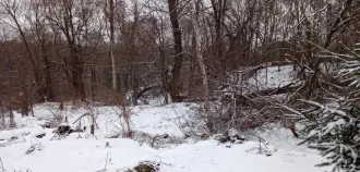 Доля в жилом помещении 29,2 кв.м., Брянская область: 1/20 доли в праве на жилое помещение общей площадью 29,2 кв.м., кадастровый номер 32:02:0150101:1228; 15/20 доли в праве на жилое помещение общей площадью 29,2 кв.м., кадастровый номер 32:02:0150101:1228, расположенное по адресу: Брянская…