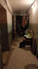 1/3 доли в жилом помещении, 12,2 кв.м, Челябинская область, г. Челябинск, ул. Гончаренко, д 73, кв 25, кадастровый номер 74:36:0315003:2720, основание государственной регистрации: договор дарения от 19.09.2016. Зарегистрировано на имя Должника. С имуществом можно ознакомиться по предварительной…